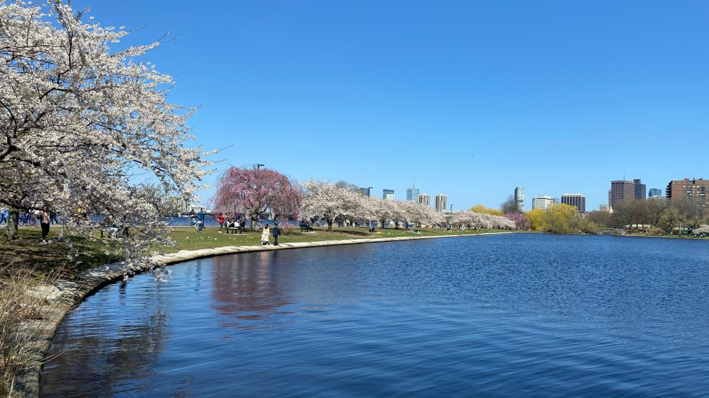 Charles River Esplanade park and waterfront in Boston