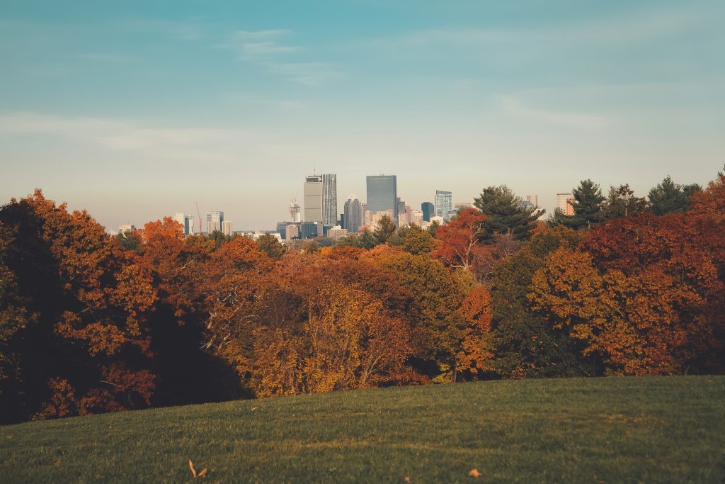 Brookline park view with Boston skyline in distance